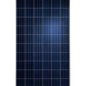 Luxor 275wp 99x164